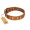 "Olive Slice" FDT Artisan Tan Leather Bullmastiff Collar with Engraved and Smooth Plates
