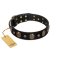 Pirate's Spell' FDT Artisan Black Leather Bullmastiff Collar with Engraved Studs and Medallions