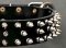 Canine Deluxe Spiked Leather Dog Collar for Bullmastiff