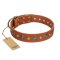 "Natural Beauty" FDT Artisan Tan Leather Bullmastiff Collar with Shining Silver-like Studs