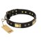 "Black Sun" FDT Artisan Leather Bullmastiff Collar with Brass Plated Decorations