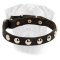Trend-Perfect Leather Puppy Collar with Nickel Half-Ball Studs for your Bullmastiff