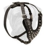 Designer Pyramid Studded Leather Dog Harness for Bullmastiff Breed