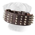 Extra Wide Leather Studded Bullmastiff Collar Cool Novelty