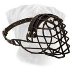 Wire Cage Bullmastiff Muzzle for Winter Walking