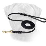 Luxury Leather Braid Decorated Leash for Bullmastiff