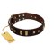 "Choco Delight" FDT Artisan Brown Leather Bullmastiff Collar with Old Bronze-like Plates and Studs