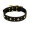 FDT Artisan 'Heavy Metal' Leather Bullmastiff Collar with Skulls and Studs 1 1/2 inch (40 mm)