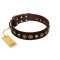 "Street Fashion" FDT Artisan Brown Leather Bullmastiff Collar Adorned with Circles and Skulls