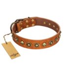 "Prez of the Pack" FDT Artisan Tan Leather Bullmastiff Collar with Skulls and Brooches
