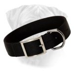 Bullmastiff Wide Nylon Dog Collar 1.5 inch wide