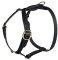 Similar Lupine adjustable dog harness for Bullmastiff