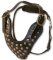 BULLMASTIFF Studded Leather Dog Harness -H15