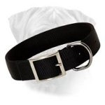 Nylon Dog Collar- 2 Ply Nylon Nickel Plated Extra Wide