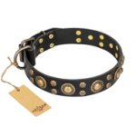'Baroque Chic' FDT Artisan Studded Black Leather Bullmastiff Dog Collar