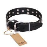 FDT Artisan 'Mystic Skulls' Decorated Leather Bullmastiff Dog Collar with Skulls and Studs 1 1/2 inch (40 mm)