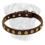 Bullmastiff Gorgeous Wide Leather Dog Collar With Dotted Circles