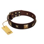 "Choco Dreams" FDT Artisan Brown Leather Bullmastiff Collar with Squares and Stars