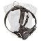Classic Leather Dog Harness for Bullmastiff Breed Walking