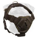 Tracking Nylon Dog Harness for Bullmastiff Breed with a Soft Padded Chest Plate