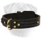 Bullmastiff Handcrafted Leather Dog Collar