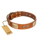 "Perfect Blend" FDT Artisan Tan Leather Bullmastiff Collar 1 1/2 inch (40 mm) wide