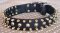 Three Rows brass Leather Spiked & Studs perfect Dog Collar