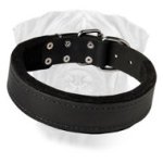Reliable Leather Collar for Various Types of Training for Bullmastiff