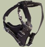 Durable Dog Harness-Leather Dog Harness for Bullmsatiff