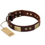 "Shining Armour" FDT Artisan Brown Leather Bullmastiff Collar with Decorations