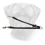 Any-Weather Coupler for Comfortable Walking 2 Dogs