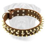 Leather Dog Collar with Nickel Studs and Brass Spikes for Bullmastiff