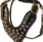 2 Ply Studded Leather Dog Harness for Bullmastiff