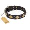"Fancy-Schmancy" FDT Artisan Studded Leather Bullmastiff Collar