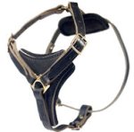 Latigo Adjustable Harness-Bullmastiff Leather Harness