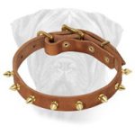 Brilliant Leather Collar with Hand Set Shiny Spikes for Bullmastiffs