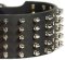 3 inch Spiked Leather Dog Collar for Bullmastiff
