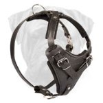 Customize Leather Agitation Harness for Bullmastiff