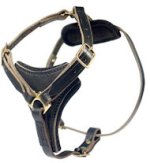 2-ply Latigo Leather Harness for Bullmastiff