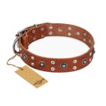"Silver Elegance" FDT Artisan Decorated Leather Bullmastiff Collar with Old Silver-Like Plated Studs and Cones