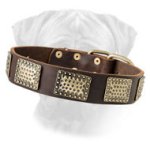 Luxury Leather Dog Collar for Bullmastiff