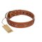 "Star Shine" Exclusive FDT Artisan Tan Leather Bullmastiff Collar with Silver-Like Adornments