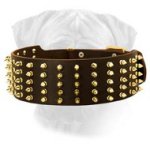 Luxury Leather Dog Collar with Brass Fittings for Bullmastiffs