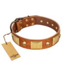 "Mutt The Daredevil" FDT Artisan Tan Leather Bullmastiff Collar with Old Bronze-like Skulls and Plates