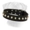 Leather Bullmastiff Collar Mighty King with Nickel Pyramids