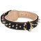 Fabulous Leather Dog Collar with Shiny Brass Plated Spikes for Bullmastiff