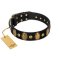 "Venerable Pawty" FDT Artisan Black Leather Bullmastiff Collar with Old Bronze-like Ovals and Studs