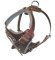 Padded Dog Harness for Bullmastiff - BUY Leather Dog Harness