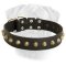 Gorgeous Wide Leather Dog Collar for Bullmastiffs