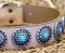 High Quality Dog Collars with blue stones Bullmastiff
